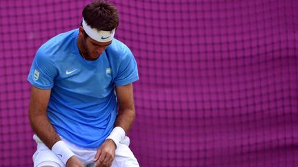 Juan Martin Del Potro peut savourer sa médaille de bronze