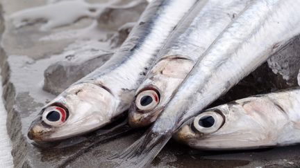 Le niveau trophique de l'homme est proche de celui d'un anchois ou d'un cochon. (ARTURO DELLE DONNE / TIPS / AFP)