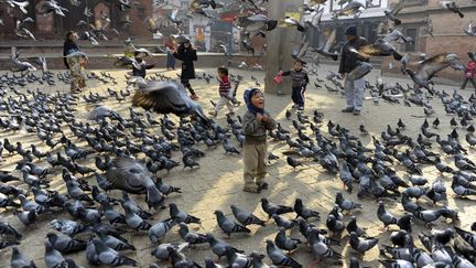 Un jeune gar&ccedil;on rigole en nourrissant les pigeons sur une place de Katmandou (N&eacute;pal), le 9 janvier 2013. (PRAKASH MATHEMA / AFP)