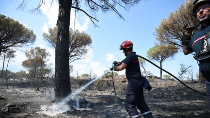 Un sapeur-pompier arrose le sol d'un foyer d'incendie aux Mayons dans le département du Var le 20 août 2021. (SYLVAIN THOMAS / AFP)