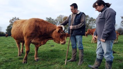 Jean-Pierre et Laure Reigner, &eacute;leveurs &agrave; Bou&egrave;re (Mayenne), dont le troupeau a &eacute;t&eacute; contamin&eacute; aux PCB, le 16 novembre 2011. (JEAN-FRANCOIS MONIER / AFP)