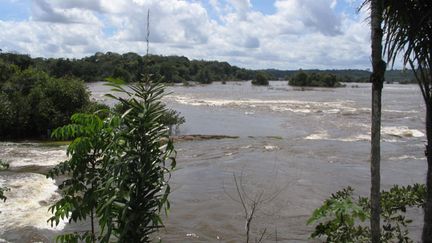 &nbsp; (La Guyane française et le Brésil  ont 730 km de frontière commune © MaxPPP)