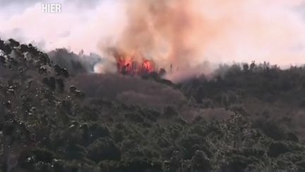 Un incendie en Corse du Sud en Février 2019 (CAPTURE ECRAN FRANCE 2)