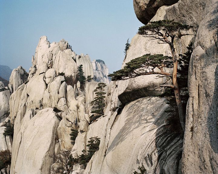 Dans le massif d'Ulsanbawi, les pins poussent dans la moindre faille. (Géo Frédéric Lagrange)