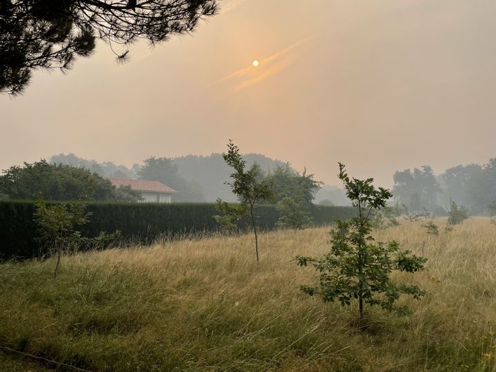 The town of Louchats in the smoke in the early morning, in Gironde this summer.   (MARIE ROUARCH / FRANCE BLUE / RADIO FRANCE)