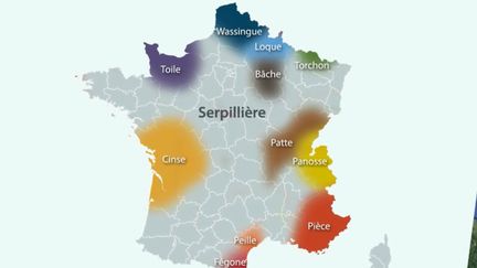 Le mot "serpillière" selon les différents dialectes régionaux.&nbsp; (FRANCE 3)