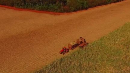 Dans les prochains mois, un risque de famine va planer sur la planète, en raison notamment de la crise sanitaire. Dans certains pays, le danger est déjà visible. (FRANCE 2)