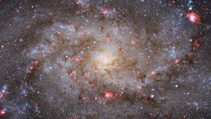 Avec "M33 Core", le N&eacute;erlandais&nbsp;Michael van Doorn est le gagnant de la cat&eacute;gorie "Galaxies" du concours "Insight Astronomy Photographer of the Year 2015".&nbsp; (MICHAEL VAN DOORN)