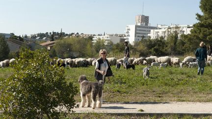 Les villes sont de plus en plus nombreuses à confier l'entretien de leurs espaces verts à des animaux et leurs bergers. (ISABELLE MORAND / ECOZOONE / RADIO FRANCE / FRANCE INFO)