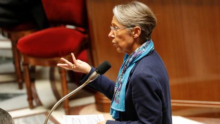 La ministre des Transports, Elisabeth Borne, à l'Assemblée nationale, le 23 octobre 2018. (FRANCOIS GUILLOT / AFP)