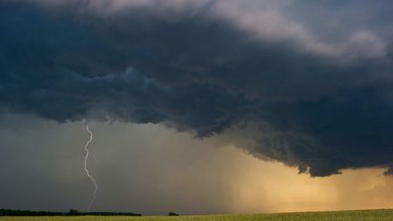 Orange dans le ciel de Lietzen (Allemagne), le 18 juin 2012. (PATRICK PLEUL / EPA / MAXPPP)