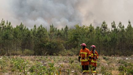 Des pompiers près d'un incendie de forêt à Landiras, en Gironde, le 11 août 2022. (LAURENT PERPIGNA IBAN / HANS LUCAS / AFP)