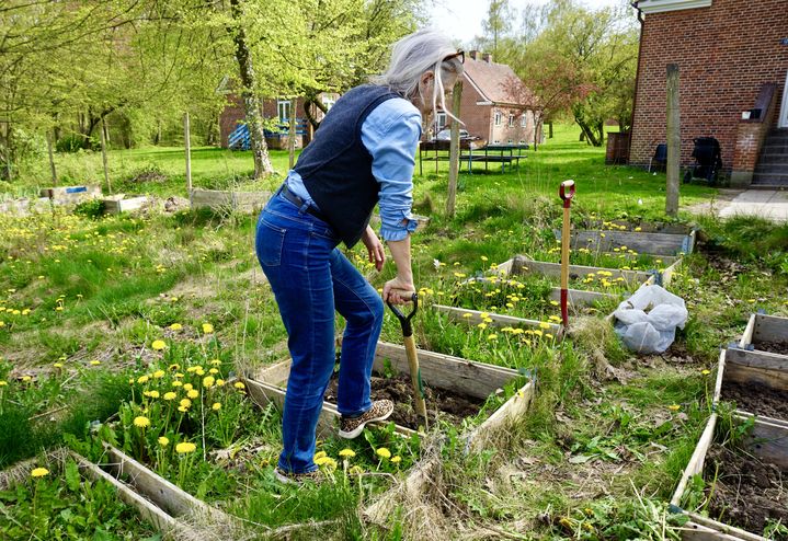 Une membre de la Croix-Rouge jardine dans le potager du centre de retour d'Avnstrup, au Danemark, le 30 avril 2024. (MARIE-VIOLETTE BERNARD / FRANCEINFO)