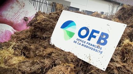 Un syndicat d’agriculteurs a récemment demandé la dissolution de l’Office français de la biodiversité (OFB), une police de l’environnement. Les relations entre les agents de l’OFB et les agriculteurs ne cessent de se dégrader. (France 2)