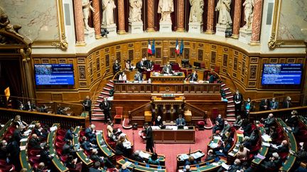 Le Sénat lors d'une séance de questions au gouvernement, le 3 mars 2021. (XOSE BOUZAS / HANS LUCAS / AFP)