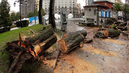 Des arbres tombés du fait de la tempête Bruno, à Oviedo (Espagne), le 27 décembre 2017.&nbsp; (MAXPPP)