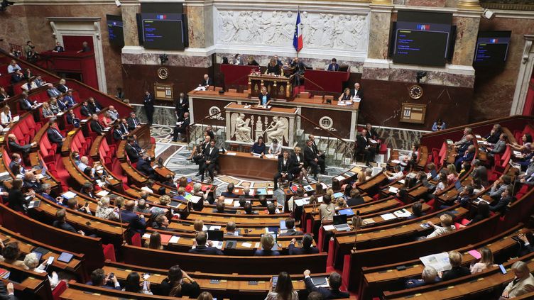 L'Assemblée nationale, le 11 juillet 2022, à Paris. (QUENTIN DE GROEVE / HANS LUCAS / AFP)