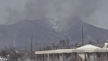 Incendies : les flammes ravagent l'Italie, le Portugal et la Grèce (France 3)