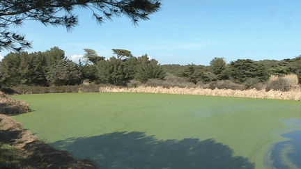 Porquerolles : un exemple en matière de réutilisation des eaux usées (FRANCE 3)