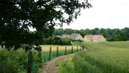 Plantation de haies bocagères par des agriculteurs, en Normandie, dans la région d'Argentan, avec l'implication de 35 agriculteurs. 10 500 arbres, issus de 15 essences différentes, vont permettre le développement d'une faune riche et diversifiée.&nbsp; (A TREE FOR YOU)