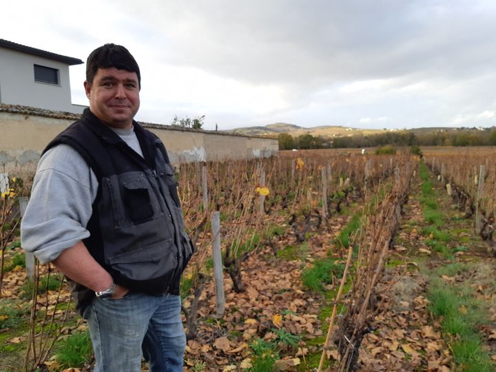 Gilles Gelin, viticulteur au domaine des Nugues à Lancié (Rhône), dans ses vignes, le 16 novembre 2020. (GUILLAUME GAVEN / RADIO FRANCE)