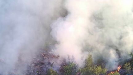 À cause du réchauffement climatique et de la sécheresse, les feux de forêts se propagent dans des régions jusque-là relativement épargnées.&nbsp;Les pompiers doivent donc se réorganiser.&nbsp;Reportage en Mayenne. (FRANCE 3)