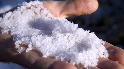 À Aigues-Mortes en plein cœur de la Camargue, les sauniers ramassent la fleur de sel à la main (photo d'illustration). (GUILLAUME BONNEFONT / MAXPPP)