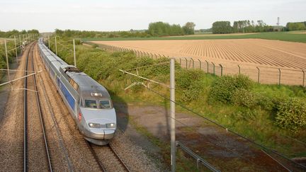 Un TGV circule sur une voie le 15 mai 2015. (MAXPPP)