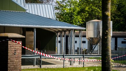 Une ferme d'élevage de visons fermée après la découverte de cas d'animaux contaminés au Covid-19, à Beek en Donk aux Pays-Bas, le 26 avril 2020. (ROB ENGELAAR / ANP)