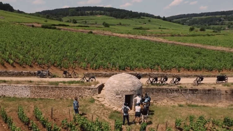 Patrimoine : à la découverte des vignobles et terroirs de la Bourgogne