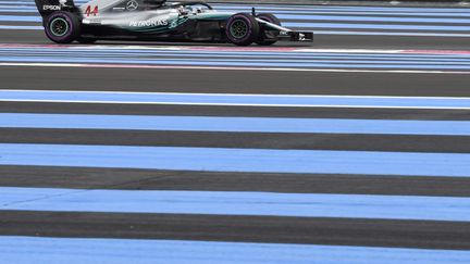 Lewis Hamilton sur le circuit Paul Ricard (GERARD JULIEN / AFP)