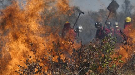 Des pompiers boliviens luttant contre les flammes à&nbsp;Charagua (Bolivie), le 29 août 2019. (AIZAR RALDES / AFP)