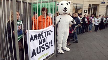 Des sympathisants de Greenpeace manifestent &agrave; Bordeaux (Gironde) le 16 novembre 2013 in Bordeaux.&nbsp; (MEHDI FEDOUACH / AFP)