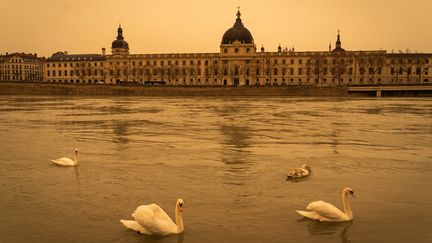 Le ciel chargé de sable du Sahara recouvre une partie du sud de l'Europe et la ville de Lyon, le 6 février 2021.&nbsp; (NICOLAS LIPONNE / HANS LUCAS / AFP)