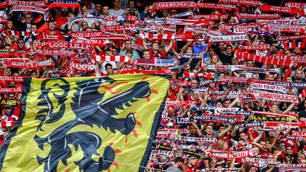 Des supporters lillois lors d'une rencontre de Ligue 1 contre le FC Nantes, le 11 août 2019. (PHILIPPE HUGUEN / AFP)