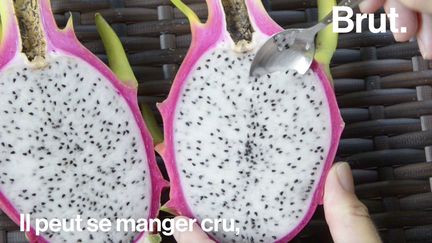 Aussi appelé pitaya, ce fruit est de plus en plus populaire à travers le monde.