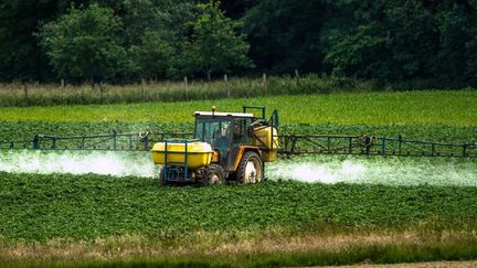 Un agriculteur épand un pesticide sur ses cultures, le 15 juin 2015 à Bailleul (Nord). (PHILIPPE HUGUEN / AFP)