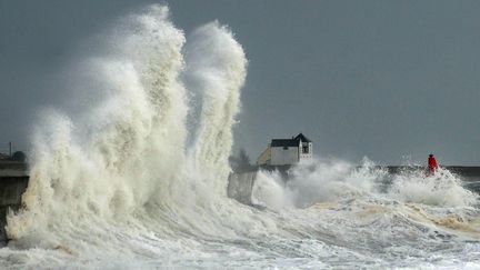 Le&nbsp;port de Lesconil (Finistère), le 3 février 2017. (FRED TANNEAU / AFP)