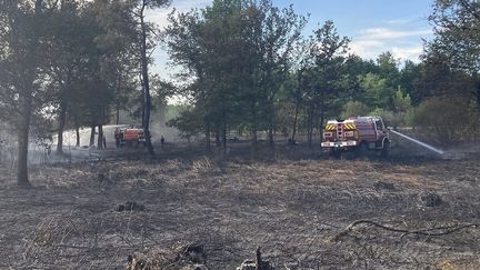 Un incendie en Dordogne dans la forêt de la Double, avec intervention des camions de feu de forêt des pompiers et de la gendarmerie. (JEANNE DE BUTLER / RADIO FRANCE)