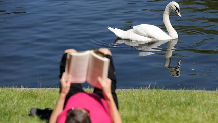 Un cygne c&ocirc;toie une vacanci&egrave;re qui lit au soleil sur les rives du Landwehrkanal, &agrave; Berlin (Allemagne), le 23 juillet 2012. (BRITTA PEDERSEN / DPA)