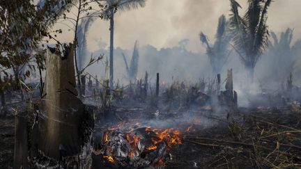 Une portion brûlée de forêt amazonienne à Apui, au Brésil, le 21 septembre 2022. (MICHAEL DANTAS / AFP)