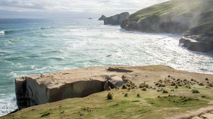 Le continent Zéalandia serait situé au large de la Nouvelle-Zélande. (KAI SCHWÖRER / SCHWÖRER PRESSEFOTO)