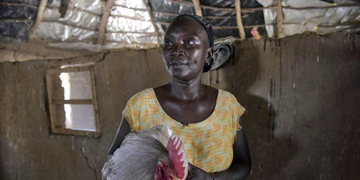 Agricultrice à Niakhar (ouest du Sénégal) le 5 décembre 2017 (SEYLLOU / AFP)