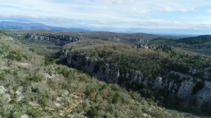 Ardèche : la vie d'un ermite au cœur du bois de Païolive