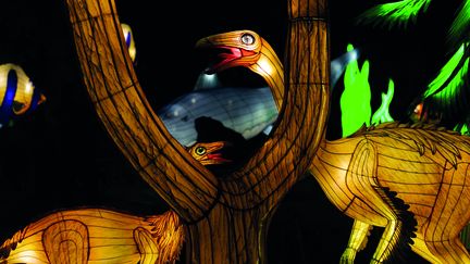 Exposition "Jurassique en voie d’illumination" au Jardin des Plantes à Paris (MELODY POIRIER)