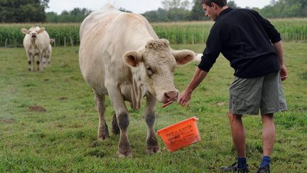 Producteurs : fédérer pour mieux négocier ses prix