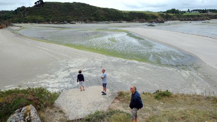 La plage de Saint-Maurice &agrave; Morieux (C&ocirc;tes-d'Armor), interdite au public pour cause d'algues vertes, le 12 ao&ucirc;t 2011. (FRANK PERRY/AFP)