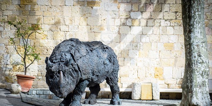 Le rhinocéros de Davide Rivalta
 (@Mougins.fr)