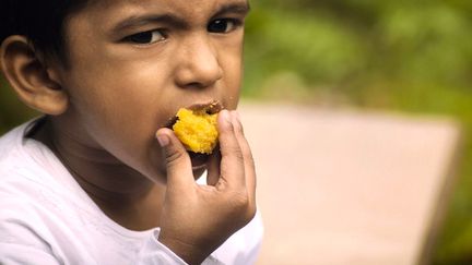 Un enfant sur trois souffre de malnutrition ou de surpoids (Cr&eacute;dits Photo : &copy; Pixabay / ambroo)