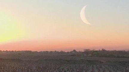 Saône-et-Loire : les vignes plus que jamais menacées par le gel